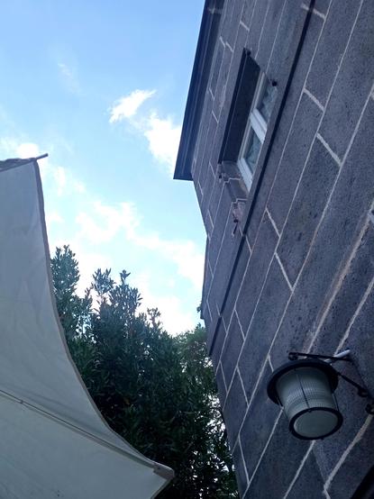Un coin de ciel bleu entre un parasol un arbre et une façade de maison