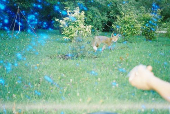 Glittering otherworldly glow over Tempelhof at sunset, where gothic silhouettes meet cosmic shimmer in twilight air. Vision by @scatebrana. #chaoticphotomag #chaoticphotos #lomography #photography #35mm #analogphoto