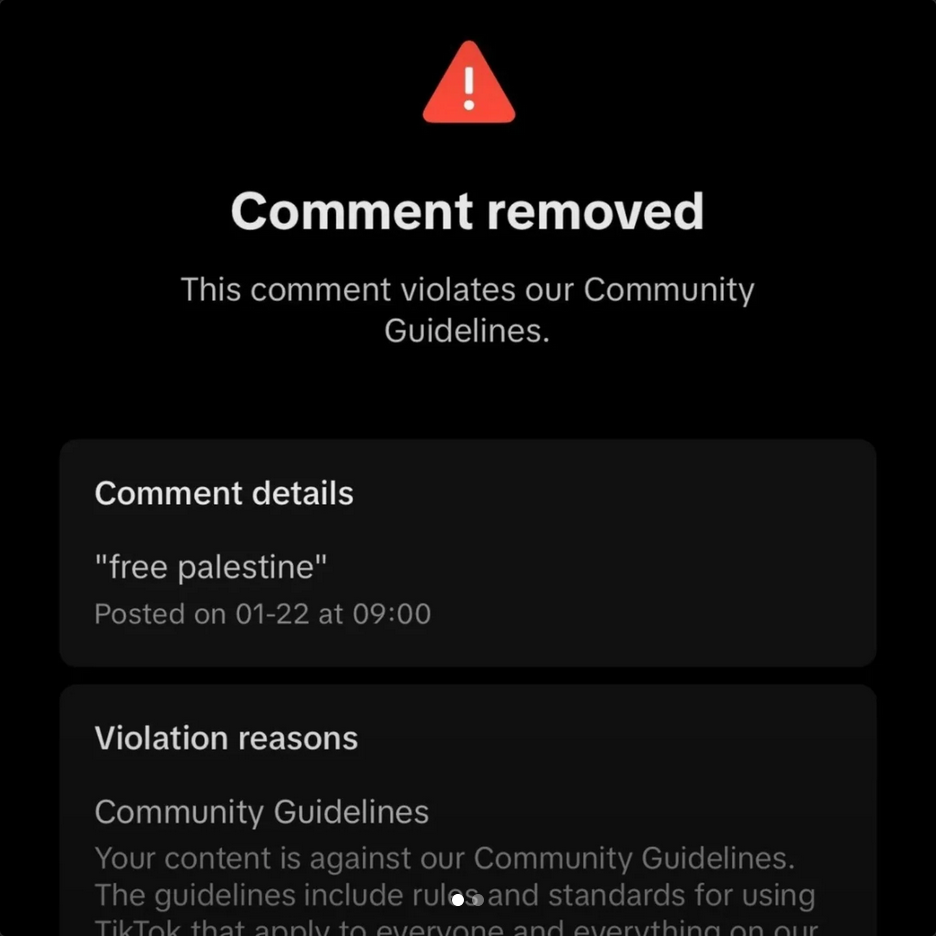 saying free palestine was against community guidelines