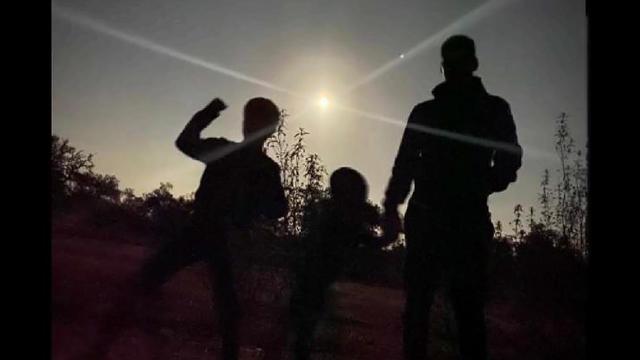 Silhouette of a family standing outdoors against the still bright evening sun, surrounded by trees and plants, taken at Bubulcus & Bolotas camping.