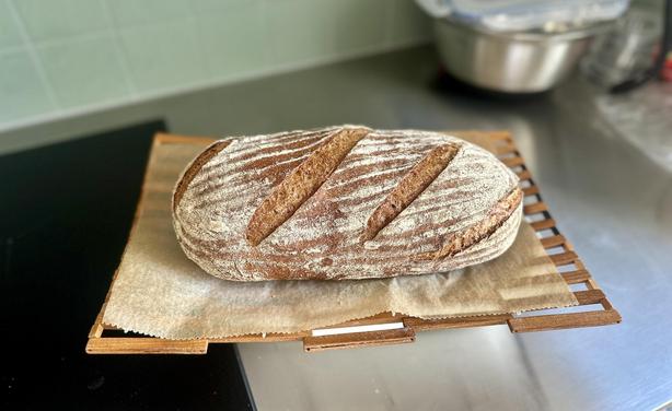 Ein länglicher, diagonal eingeschnittener Laib Brot liegt auf einem Holzgitter mit Backtrennpapier auf der Anrichte. Das Brot weist in Längsrichtung feine Mehlstreifen von der Lagerung im Gärkörbchen auf.