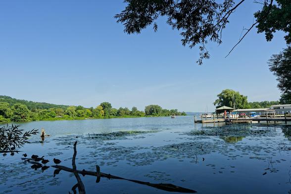 A body of water which isn't that wide at this point with park with trees on the opposite side and an small opening to the lake visible at the center right where a distant hill line is visible,  above blue sky and the leaves of I think a willow tree coming in from the upper right,  close near the bottom left there is a log or something in the water with I think some birds,  and a lot of water plants between that and a small looking wood dock that comes in from the left.