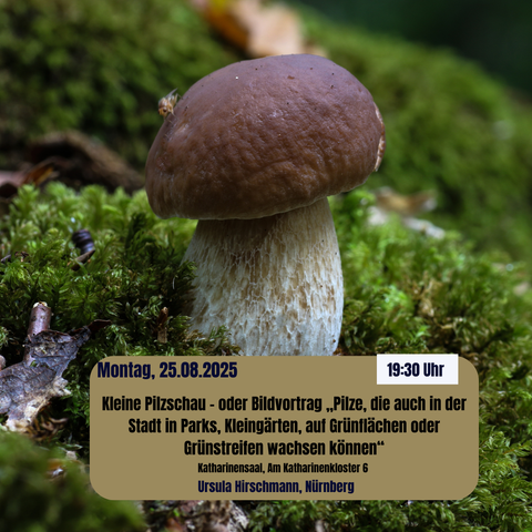 Ein Pilz mit in einem Moosuntergrund