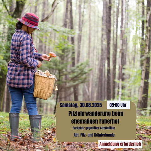 Links eine Frau, welche einen Korb und einen Pilz in der Hand hält, im Hintergrund ist ein Wald zu erkennen