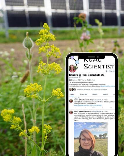 Fotocollage zeigt Photovoltaikanlage mit artenreicher Begrünung und Smartphone-Screenshot des BlueSky-Accounts RealScientists DE