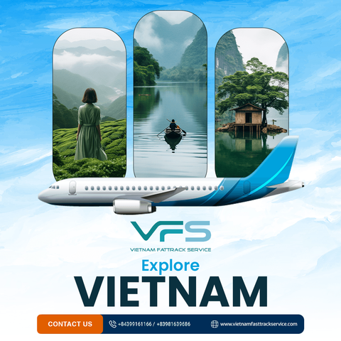 https://www.vietnamfasttrackservice.com/