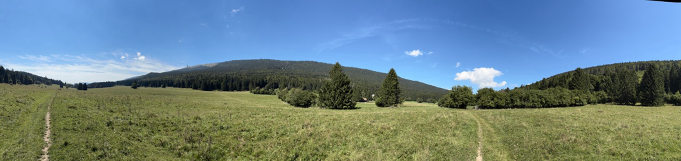 Panorama 