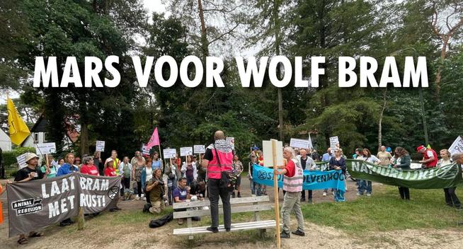 Groel met activisten (voornamelijk van Animal Rebellion, Extinction Rebellion en Partij voor de dieren). Die met spandoeken over de wolf 'Bram', staan te luisteren naar een toespraak. Aan een bosrand van Maarn. Waar het landgoed den Treek begint.