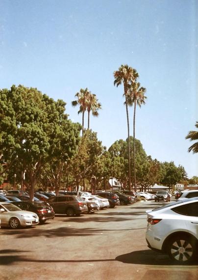 Parking lot and 4 palm trees