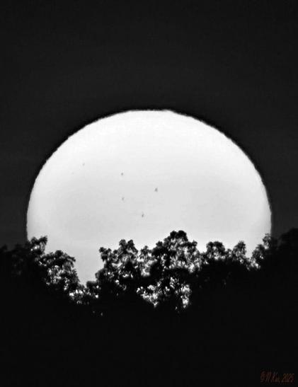 Sun is setting behind distant trees, with big sunspots visible on the surface.