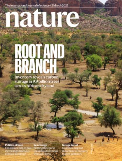 Une de l’édition datée du 2 mars 2023 de “Nature”. Nature via Courrier International

Une base de données de près de 10 milliards d’arbres situés dans les zones arides africaines a été compilée. Elle permet d’estimer la biomasse, mais aussi les stocks de carbone de ces régions et pourrait contribuer à améliorer les modèles sur les effets du dérèglement climatique.