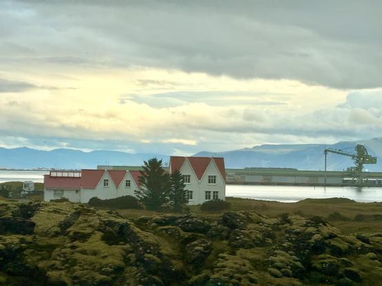 A farm on the coast of Reykjaness wi th red roofs and water in the background 
