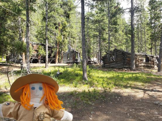 Ranger Sarah looks at building 62 a log cabin with a gable roof & saddle notched logs. Cabin measures 26 feet 3 inches x 32 feet 8 inches. Behind it is building 63. partially-collapsed, wood frame residence. The house once had a gable
roof which has collapsed. The wooden floor is raised off the ground. Dimensions: 13 x 22 feet.
—Coolidge Ghost Town-
