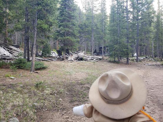 Ranger Sarah past by more collapsed structures at the south end of the Coolidge Ghost Town.
— at Beaverhead-Deerlodge National Forest.
