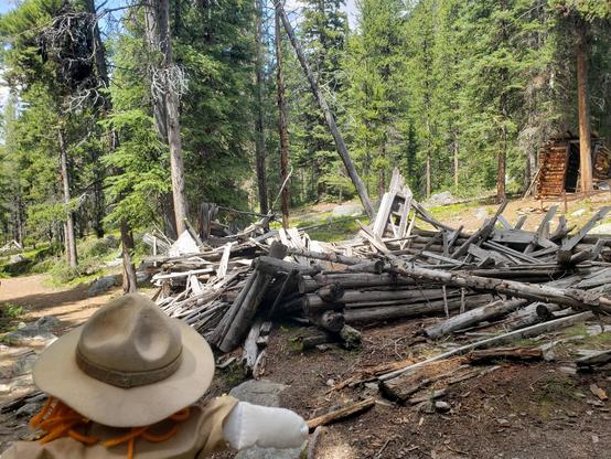 Ranger Sarah looks a what remains of a log structure at the south end of town, (structure 81) Behind it is a 6 x 6 foot privy made of small logs (structure 83)
— at Coolidge Ghost Town, Beaverhead-Deerlodge National Forest.
