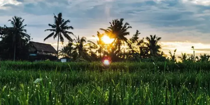 🌴🌺 TOP 10 Bali Sehenswürdigkeiten & Geheimtipps für deine Reise!