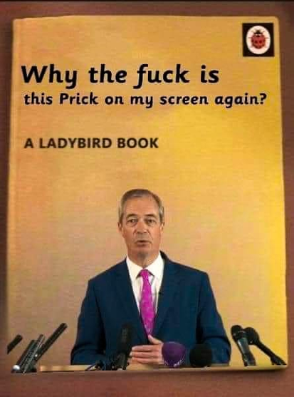 Mock up of a book cover:

Why the fuck is this Prick on my screen again?
A LADYBIRD BOOK

(cover shows N.Farage)
