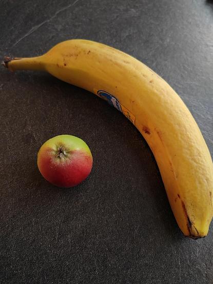 Kuvassa pienen pieni omena ja banaani antamassa mittakaavaa