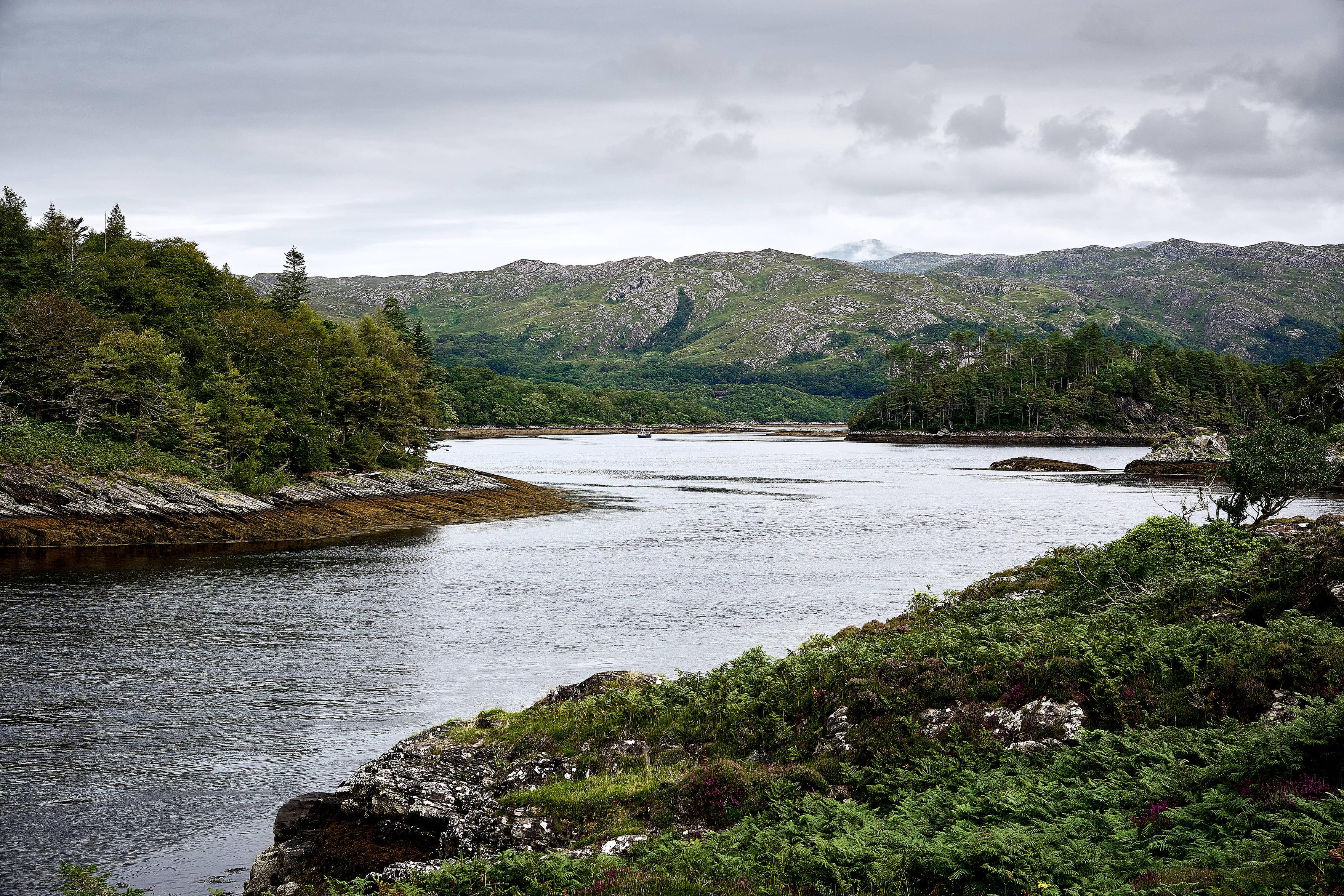 A serene landscape featuring a calm body of water surrounded by lush green hills and trees under a cloudy sky. The view extends across the water to a distant, tree-covered island. A serene landscape featuring a calm body of water surrounded by lush green hills and trees under a cloudy sky. The view extends across the water to a distant, tree-covered island.