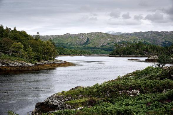 A serene landscape featuring a calm body of water surrounded by lush green hills and trees under a cloudy sky. The view extends across the water to a distant, tree-covered island.