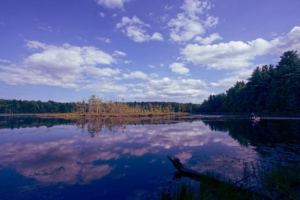 The lower half of this image is the surface of a still pond reflecting the sky,  in the middle there is an island with short light-colored trees,  in the distance there's a row of much darker trees,  about 3/4 of the way to the right the side of the pond makes the trees form an expanding triangle.  A small boat with people fishing can be seen towards the right,  close in there is a stick extending into the water,  and above it all a fair-weather cumulus blue sky!