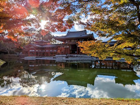 Byodo-in's 'Phoenix Hall', framed in autumn colours.