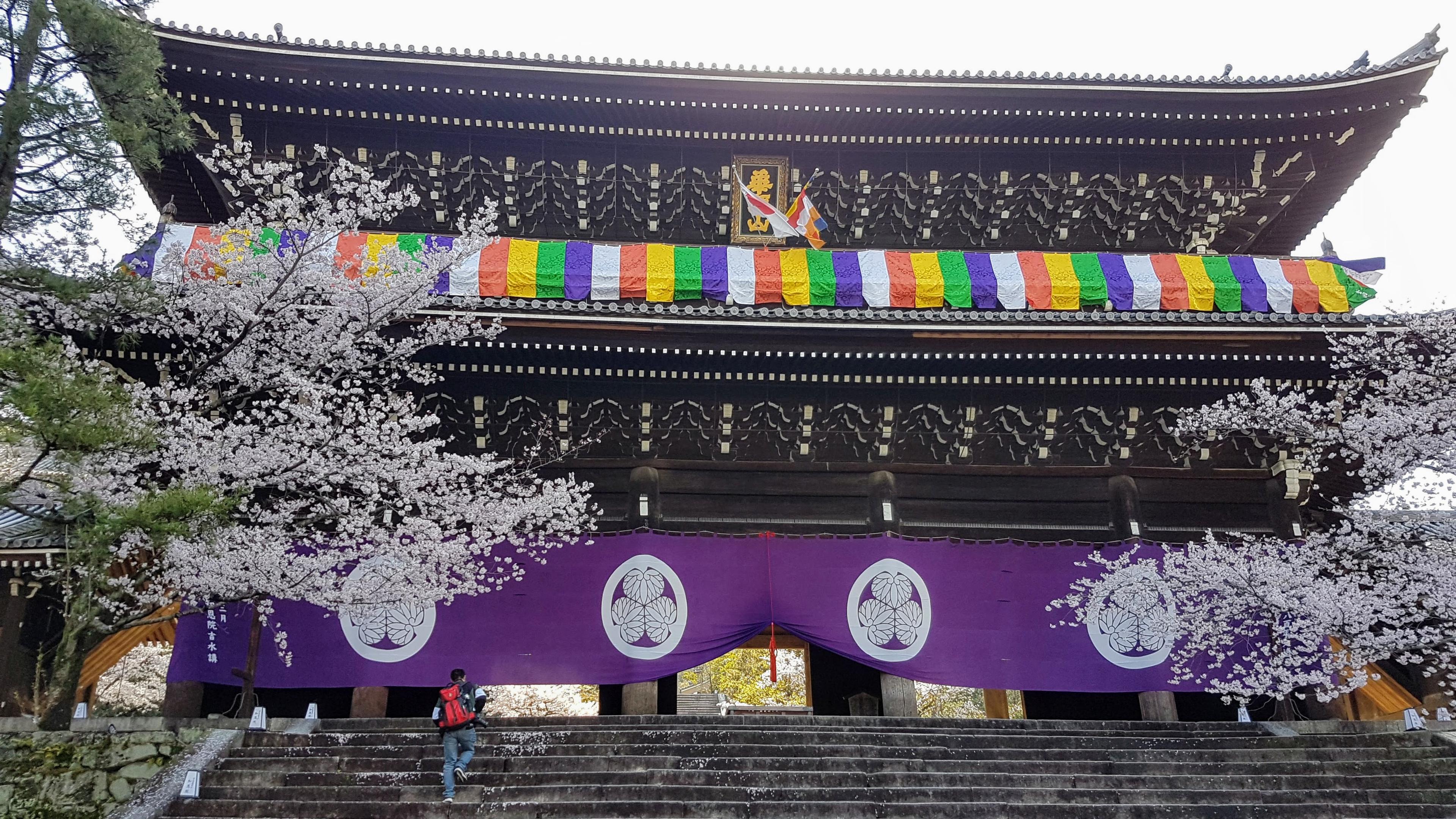 The main gate of Chion-in flanked by cherry blossoms.
