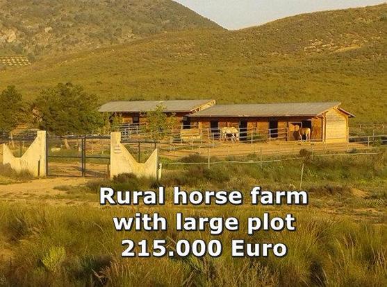 Rural horse farm with large plot
215.000 Euro