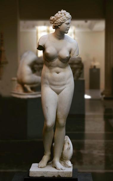 Marble sculpture of Venus after a Greek original of Aphrodite. She is in the nude, looking to the side. Her hair is gathered in a bun at the back of her head. A dolphin to her feet suggests a scene of her birth from the sea.