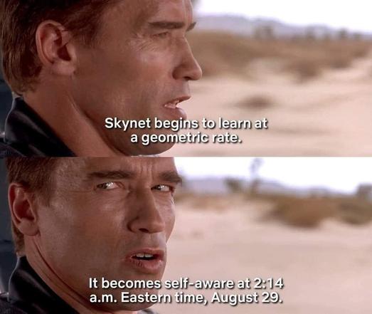A still from a The Terminator featuring a character discussing the AI Skynet. The text reveals that Skynet begins to learn rapidly and becomes self-aware at a specific time and date (August 29 at 2:14 am). The character appears serious, with a desert background.