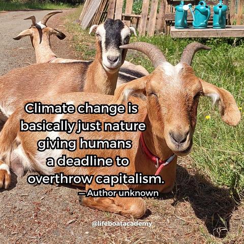 A social post from @lifeboatacademy which says: "Climate change is basically just nature giving humans a deadline to overthrow capitalism." — Author unknown (attributed to Naomi Klein)