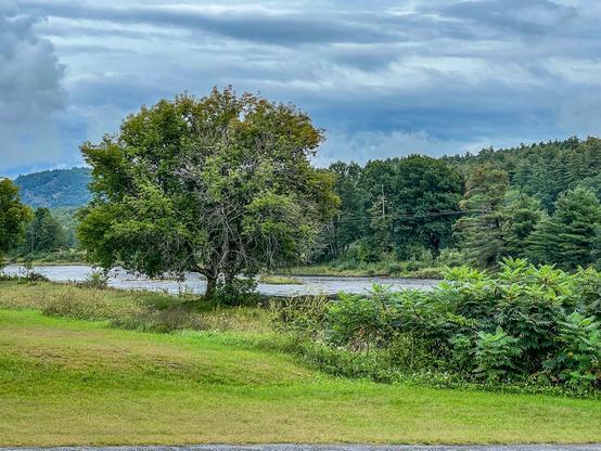 PROPERTY ON THE AUSABLE RIVER
River