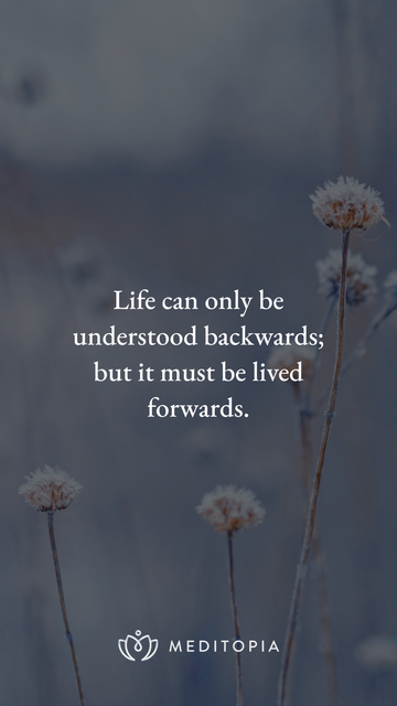 A quote overlayed on a blurred natural background: "Life can only be understood backwards; but it must be lived forwards."