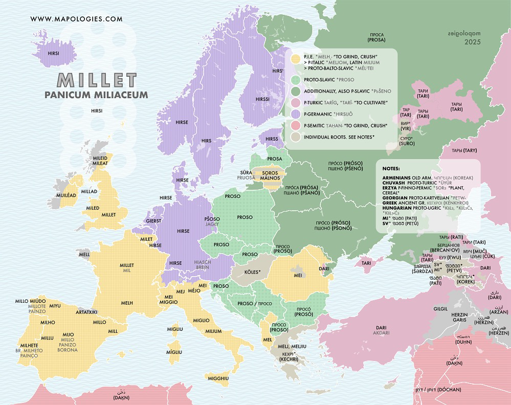 Etymology map of millet