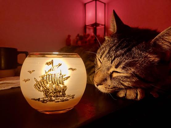 In a room with red lighting, a tea candle in a spherical frosted glass holder with an engraving of a sailing ship shines on the face of a striped tabby resting its head on its paw.