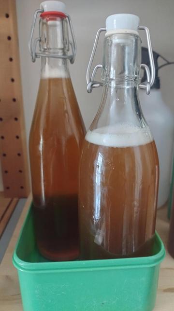 2 glazen flessen met beugelsluiting staan in groen plastic bakje. Erin bruisende gelige vloeistof, lijkt beetje op bier. 