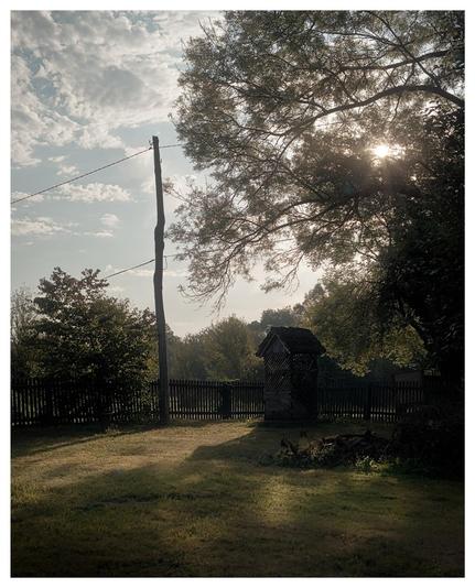 Morning scene of a farm yard, a well, a fence, with sun peeking through the canopy of a tree