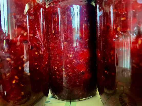 Gros plan sur des bocaux remplis de compote pommes sureau, tons rouge profond 