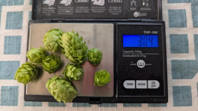 Some hop cones on a scale weighing in at 3.04g