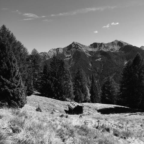 Un prato in montagna circondato a alti abeti ed una capanna al centro. Il lontananza le cime della Catena delle Maddalene