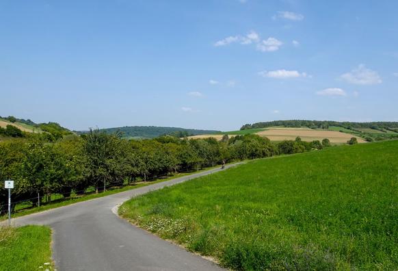 Ein Fahrradweg in der Nähe von Stuppach. So ganz grob bei Bad Mergentheim.