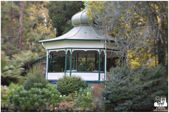 An ornate gazebo with a green-and-white bulbous dome stands nestled in the foliage of Cataract Gorge, Launceston.

Elevated on a brick base, the open-sided structure is framed by dense greenery—tall trees, flowering shrubs, and soft undergrowth. Its decorative trim and railings evoke a bygone charm, offering a tranquil, reflective space within the garden’s embrace.