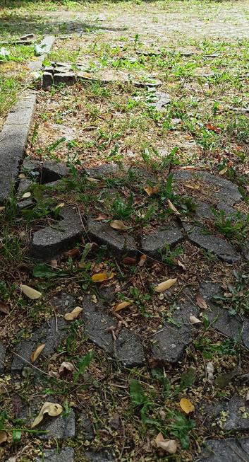 Ein leerer parkplatz mit vielen wurzelaufbrüchen