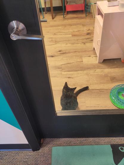 This little black kitten ran to the window and the door, repeatedly looking back and forth between us and the doorknob.