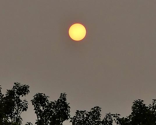 This is what the sun photographed like. It was totally orange with the naked eye, here it is golden with a red ring. Smoky sky from wildfires.