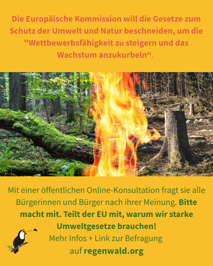Die EU-Kommission will die Gesetze zum Schutz der Umwelt aushöhlen - bei uns und weltweit. Um welche Gesetze es konkret geht, will sie mit einer sogenannten „Omnibus-Umweltverordnung“ im Herbst bekannt geben. Jetzt fragt die EU uns alle mit einer öffentlichen Konsultation, was wir davon halten. Bitte machen Sie mit!