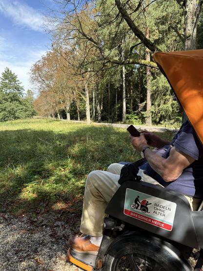 Halt an der Rehwiese, einem Naturdenkmal in der Dresdner Heide. Im Hintergrund die Kastanienallee 
