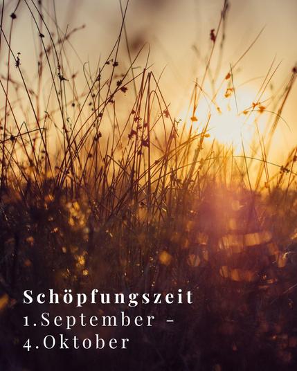 Ein Stück Wiese im Gegenlicht der abendlichen Sonne. Dazu der Text: "Schöpfungszeit 1. September - 4. Oktober"