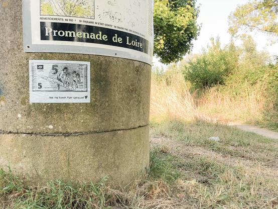 promenade de Loire, 5€, semnopithèque