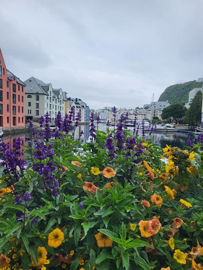 Im Vordergund sind gelbe, orangene und lila Blumen die von vielen grünen Blättern umringt sind. Dahinter ist Wasser und bunte Häuser auf der linken Seite und in der Mitte. Rechts ist ein Berg mit grünen Bäumen. Der himmel ist mit grauen Wolken verhangen.